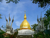 ดอยพระธาตุ อุทยานแห่งชาติลำน้ำน่าน อ.ท่าปลา จ.อุตรดิตถ์ 